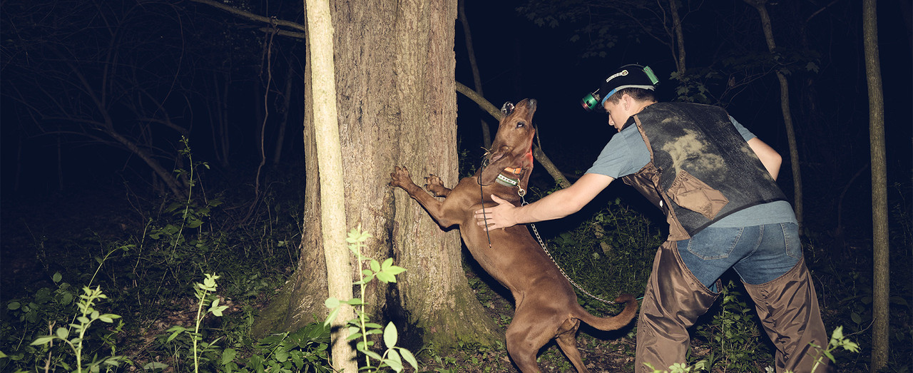 Big Dog Hunting Lights
