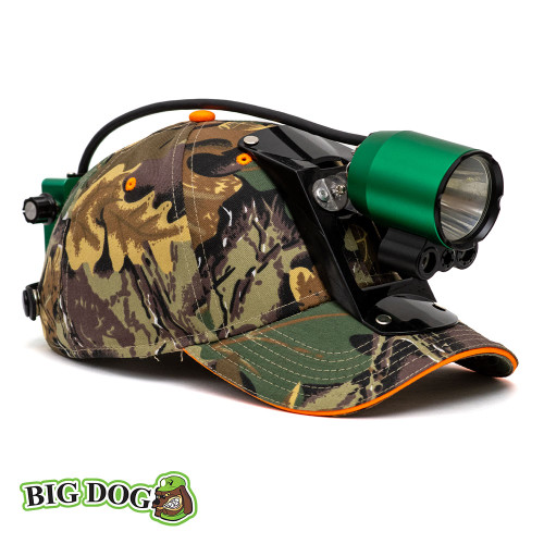 Big Dog Revelation