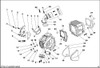 CYLINDER HEAD (18)