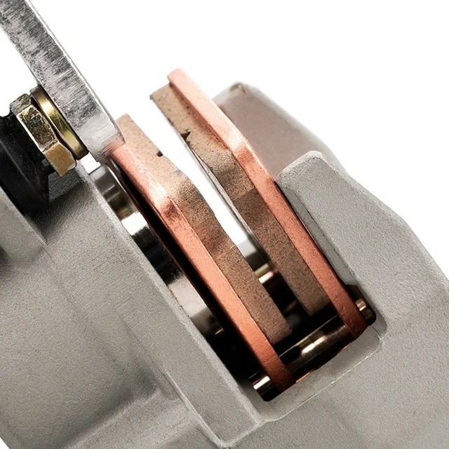 COMPLETE REAR BRAKE ASSEMBLY - (PILOT/ SM F150)