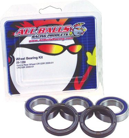 BEARING/SEAL KIT - REAR WHEEL