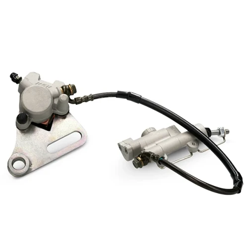 COMPLETE REAR BRAKE ASSEMBLY - (PILOT/ SM F150)