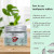 60 Tablets Nano Hydroxyapatite, Travel Size Whitening Toothpaste