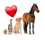 ALOE First Aid for your Pets