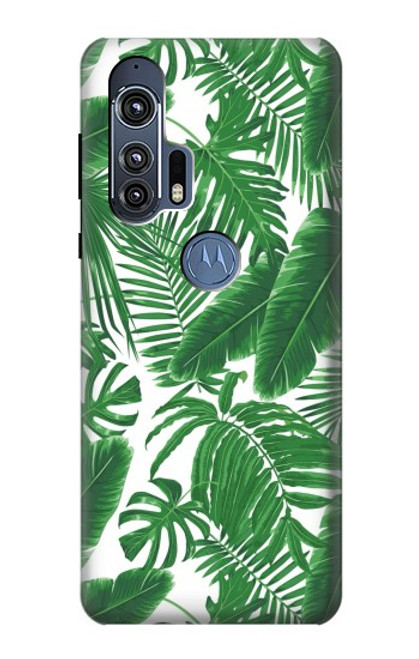 W3457 Paper Palm Monstera Hard Case and Leather Flip Case For Motorola Edge+