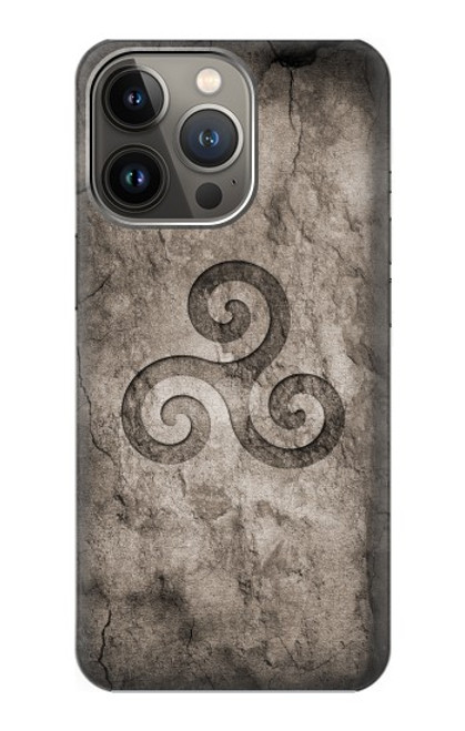 W2892 Triskele Symbol Stone Texture Hard Case and Leather Flip Case For iPhone 13 Pro Max