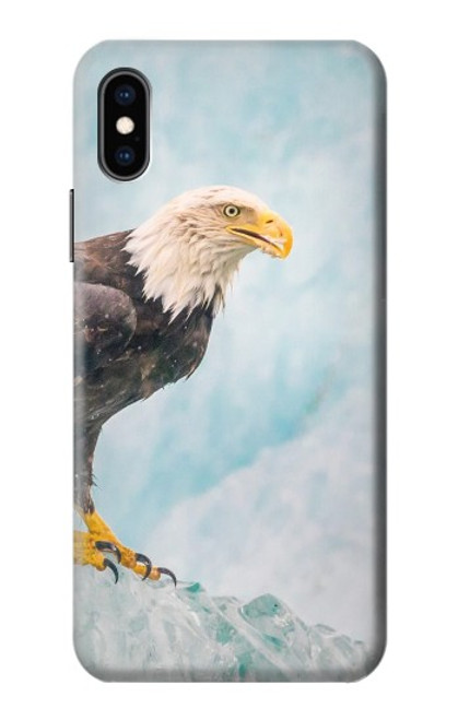 W3843 Bald Eagle On Ice Hard Case and Leather Flip Case For iPhone X, iPhone XS