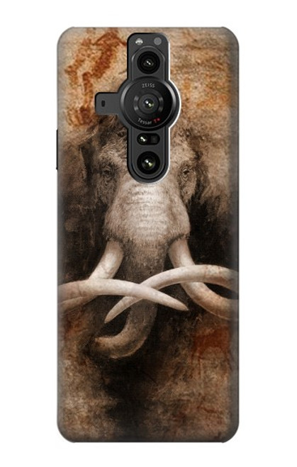 W3427 Mammoth Ancient Cave Art Hard Case and Leather Flip Case For Sony Xperia Pro-I