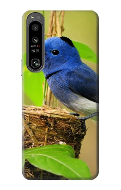 W3839 Bluebird of Happiness Blue Bird Hard Case and Leather Flip Case For Sony Xperia 1 IV