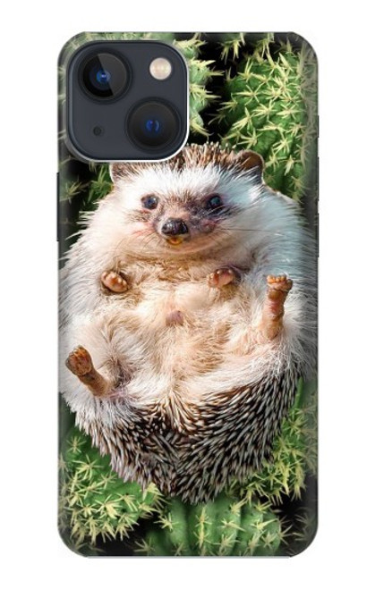 W3863 Pygmy Hedgehog Dwarf Hedgehog Paint Hard Case and Leather Flip Case For iPhone 13