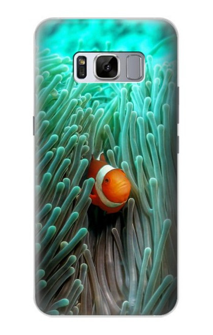 W3893 Ocellaris clownfish Hard Case and Leather Flip Case For Samsung Galaxy S8
