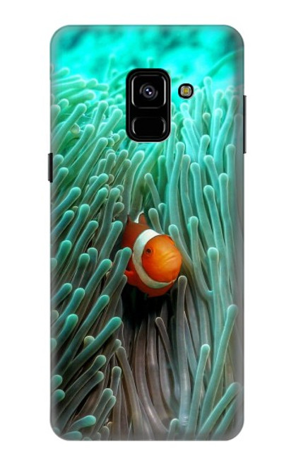 W3893 Ocellaris clownfish Hard Case and Leather Flip Case For Samsung Galaxy A8 (2018)