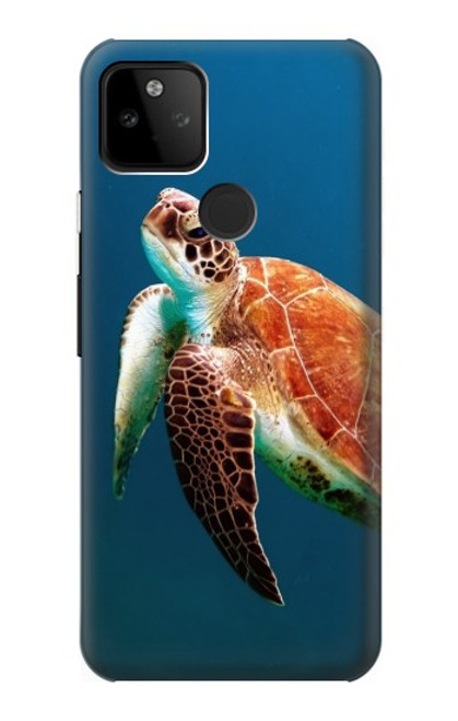 W3899 Sea Turtle Hard Case and Leather Flip Case For Google Pixel 5A 5G