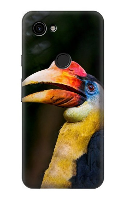 W3876 Colorful Hornbill Hard Case and Leather Flip Case For Google Pixel 3a