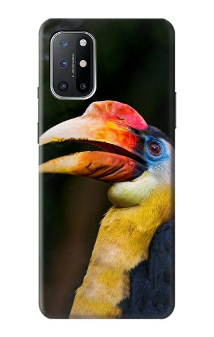 W3876 Colorful Hornbill Hard Case and Leather Flip Case For OnePlus 8T
