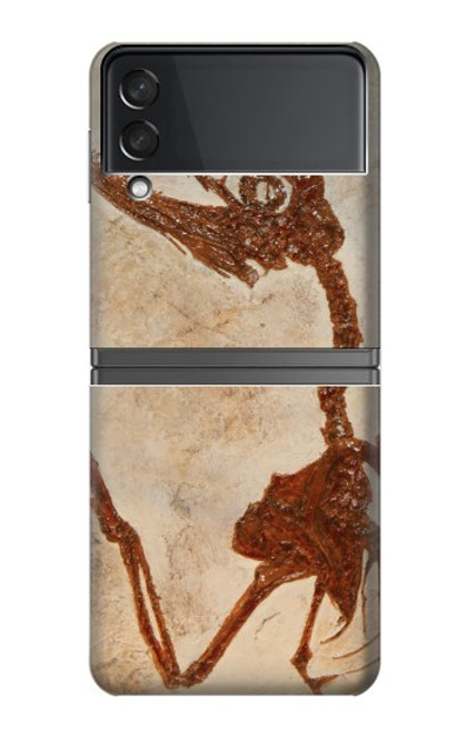 W0379 Dinosaur Fossil Hard Case For Samsung Galaxy Z Flip 4