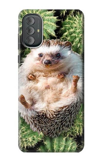 W3863 Pygmy Hedgehog Dwarf Hedgehog Paint Hard Case and Leather Flip Case For Motorola Moto G Power 2022, G Play 2023