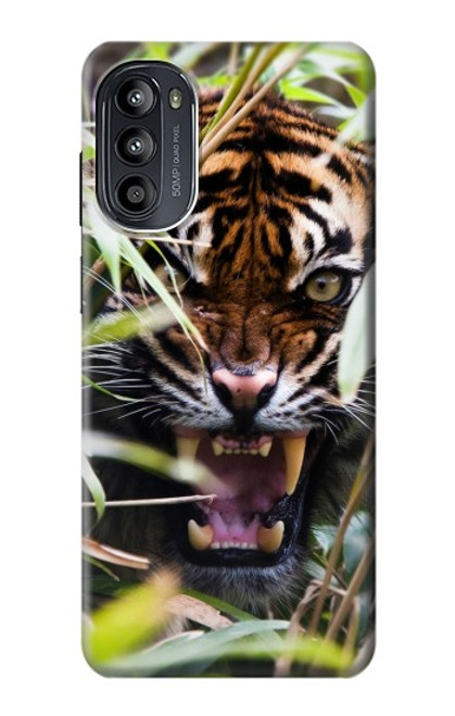 W3838 Barking Bengal Tiger Hard Case and Leather Flip Case For Motorola Moto G52, G82 5G