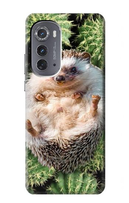 W3863 Pygmy Hedgehog Dwarf Hedgehog Paint Hard Case and Leather Flip Case For Motorola Edge (2022)