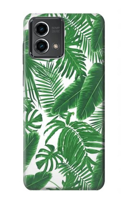 W3457 Paper Palm Monstera Hard Case and Leather Flip Case For Motorola Moto G Stylus 5G (2023)