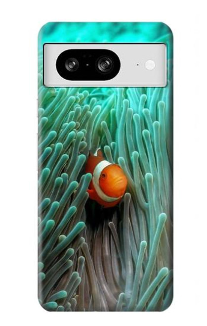 W3893 Ocellaris clownfish Hard Case and Leather Flip Case For Google Pixel 8
