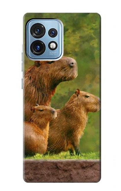 W3917 Capybara Family Giant Guinea Pig Hard Case and Leather Flip Case For Motorola Edge+ (2023), X40, X40 Pro, Edge 40 Pro