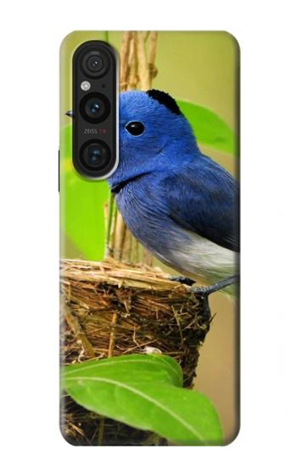 W3839 Bluebird of Happiness Blue Bird Hard Case and Leather Flip Case For Sony Xperia 1 V