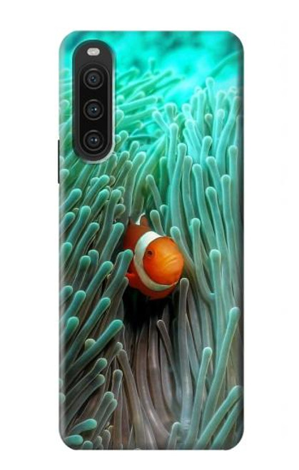 W3893 Ocellaris clownfish Hard Case and Leather Flip Case For Sony Xperia 10 V