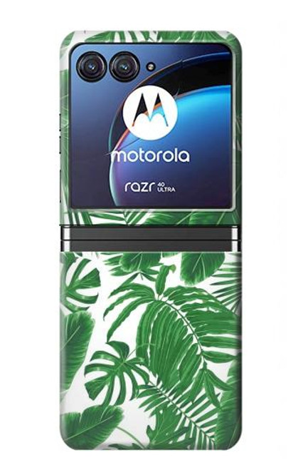 W3457 Paper Palm Monstera Hard Case For Motorola Razr 40 Ultra