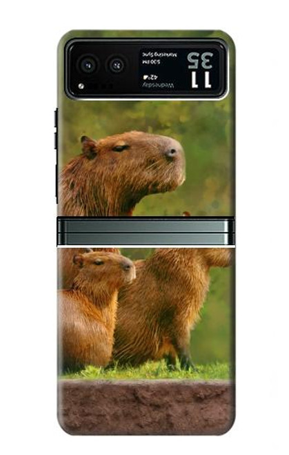 W3917 Capybara Family Giant Guinea Pig Hard Case and Leather Flip Case For Motorola Razr 40