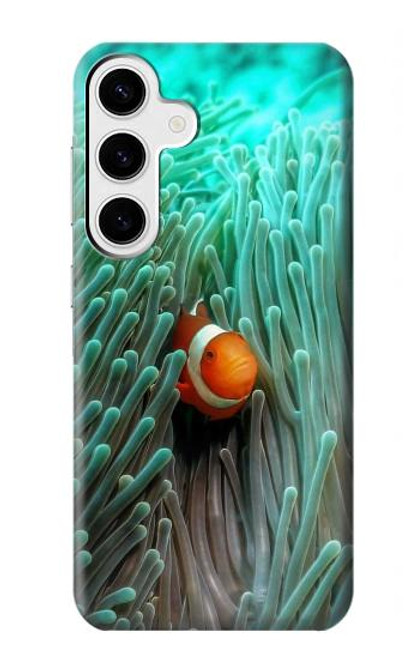 W3893 Ocellaris clownfish Hard Case and Leather Flip Case For Samsung Galaxy S24 Plus