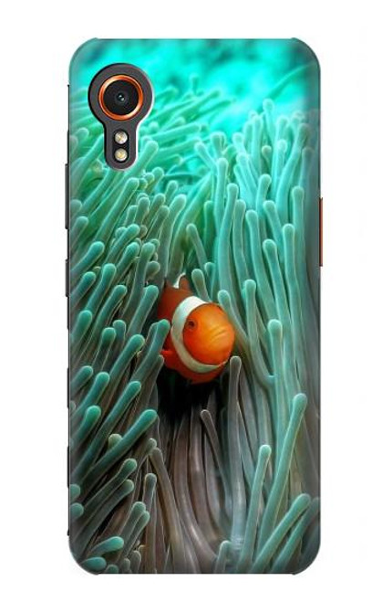 W3893 Ocellaris clownfish Hard Case and Leather Flip Case For Samsung Galaxy Xcover7