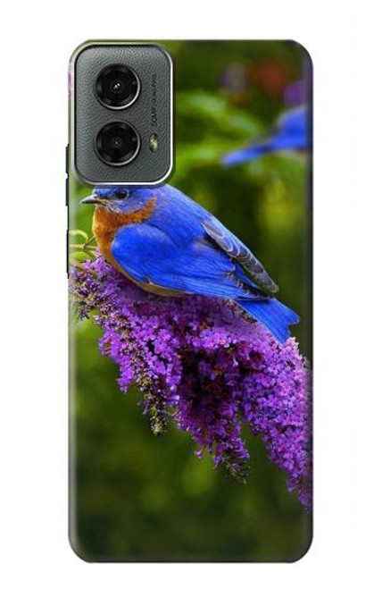 W1565 Bluebird of Happiness Blue Bird Hard Case and Leather Flip Case For Motorola Moto G 5G (2024)