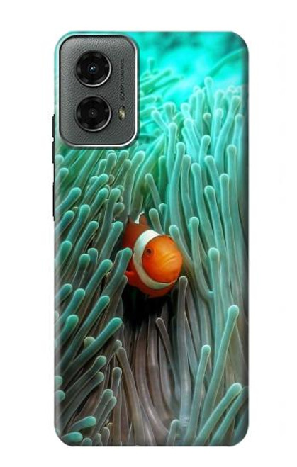 W3893 Ocellaris clownfish Hard Case and Leather Flip Case For Motorola Moto G 5G (2024)