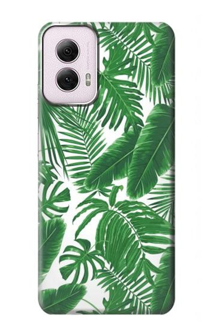 W3457 Paper Palm Monstera Hard Case and Leather Flip Case For Motorola Moto G Power 5G (2024)