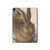 W3781 Albrecht Durer Young Hare Tablet Hard Case For iPad Air (2022, 2020), Air 11 (2024), Pro 11 (2022)