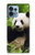 W1073 Panda Enjoy Eating Hard Case and Leather Flip Case For Motorola Edge+ (2023), X40, X40 Pro, Edge 40 Pro