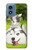 W3795 Kitten Cat Playful Siberian Husky Dog Paint Hard Case and Leather Flip Case For Motorola Moto G Play 4G (2024)