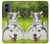 W3795 Kitten Cat Playful Siberian Husky Dog Paint Hard Case and Leather Flip Case For Motorola Moto G 5G (2024)