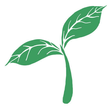 Wend Natural Plant wax logo