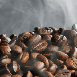 Best Coffee Beans 101