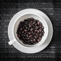 Your Coffee from Seed to Cup