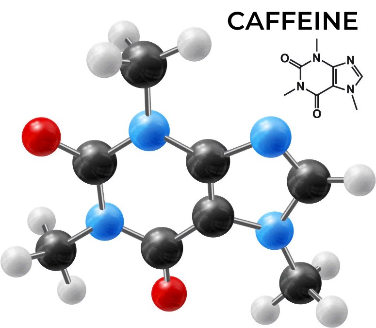 Caffeine molecule