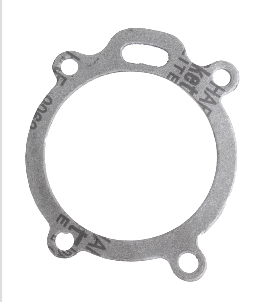Pompa acqua adattabile Landini e Massey Ferguson 4131A013 con guarnizione - Ama