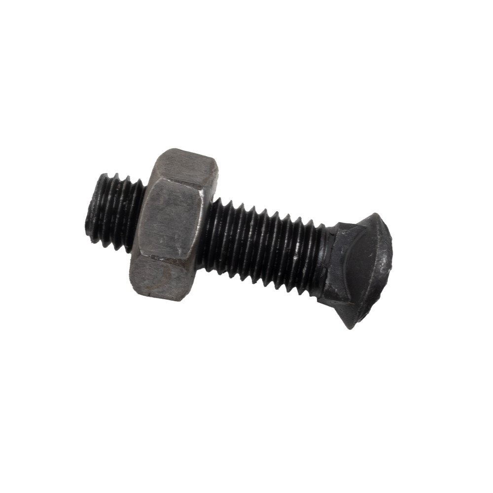 Bullone testa ovale M10x38 con dado - Ama