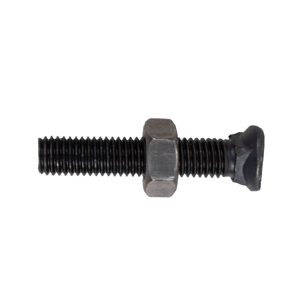 Bullone testa ovale M10x55 con dado - Ama