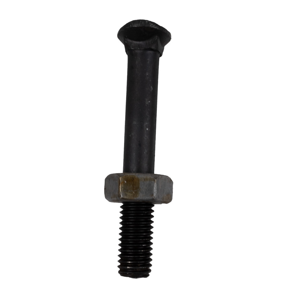 Bullone testa ovale M10x70 con dado - Ama