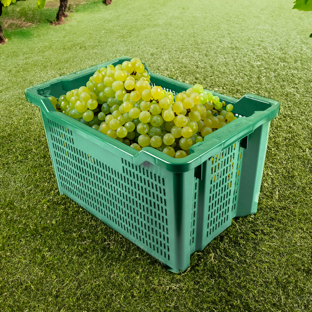 Cassetta agricola aperta impilabile 40L - Ama
