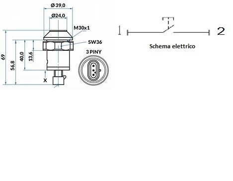 Interruttore a pulsante Pneutron per sollevatore alzato - Pneutron
