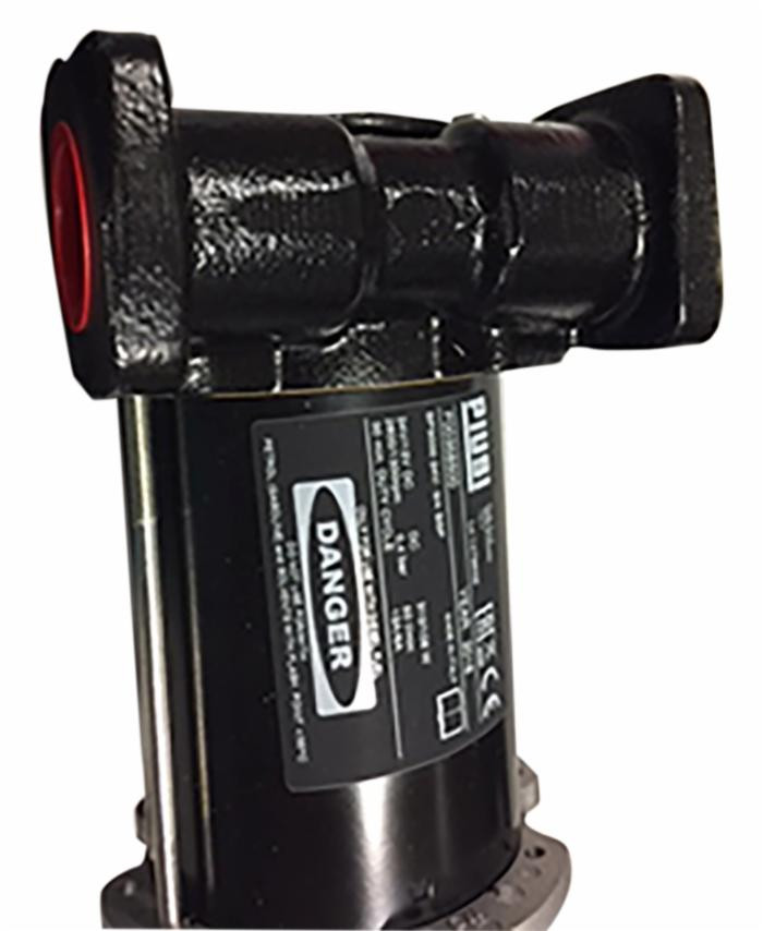 pompa travaso gasolio 24v - Piusi